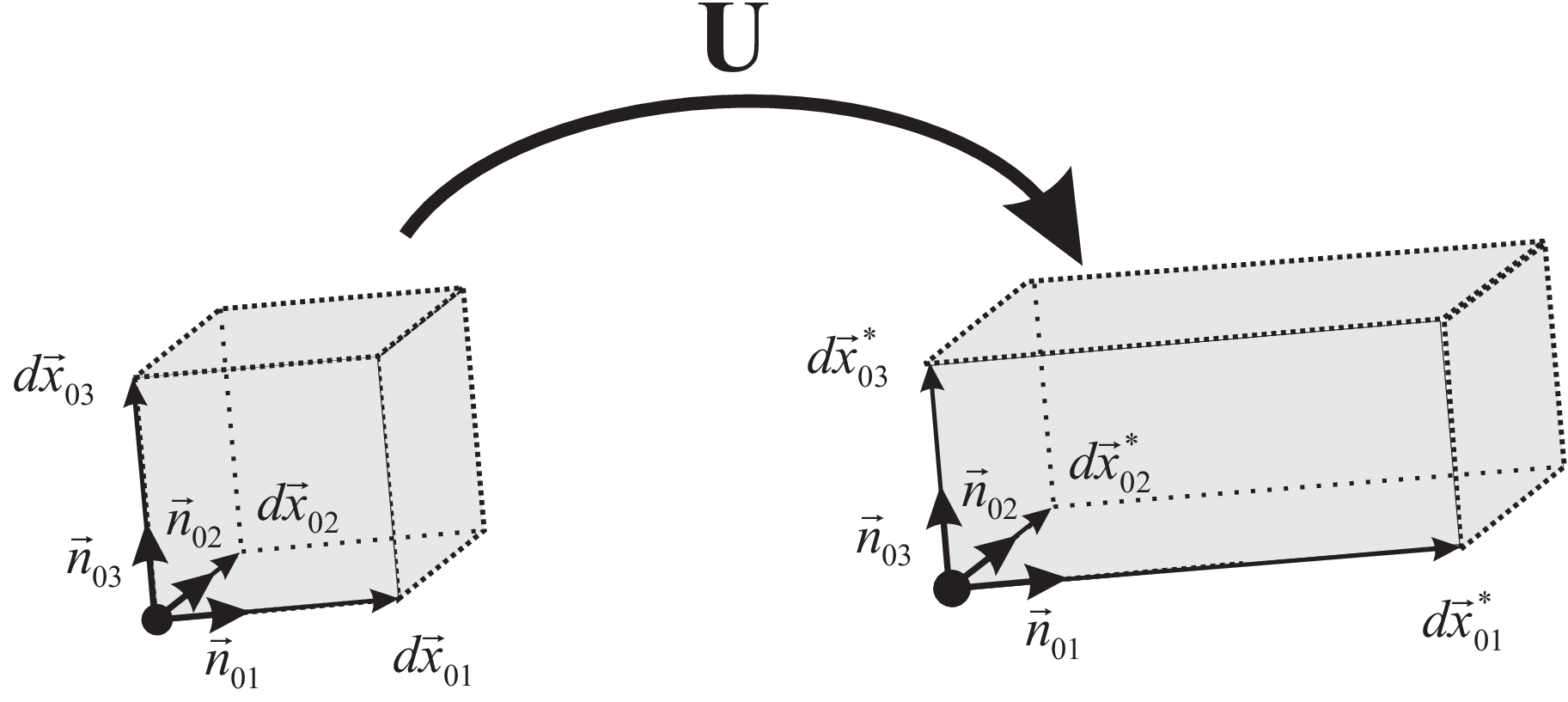 Pure stretch of a block, spanned by eigenvectors of \T{U}, after deformation by \T{U}.