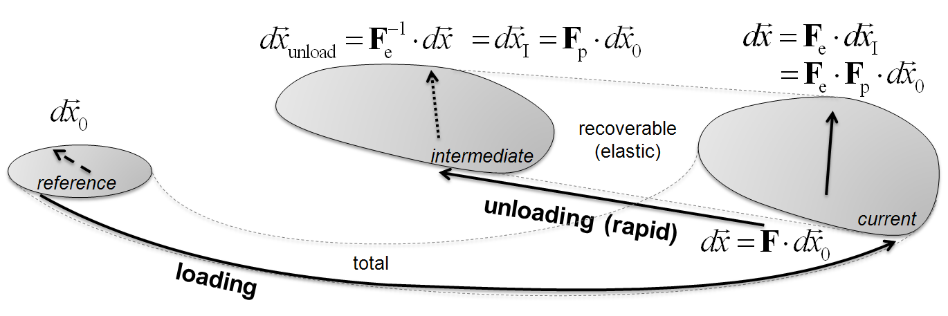 Definition of the elastic and plastic parts of the deformation gradient, \T{F}_\re and \T{F}_\rp, respectively.