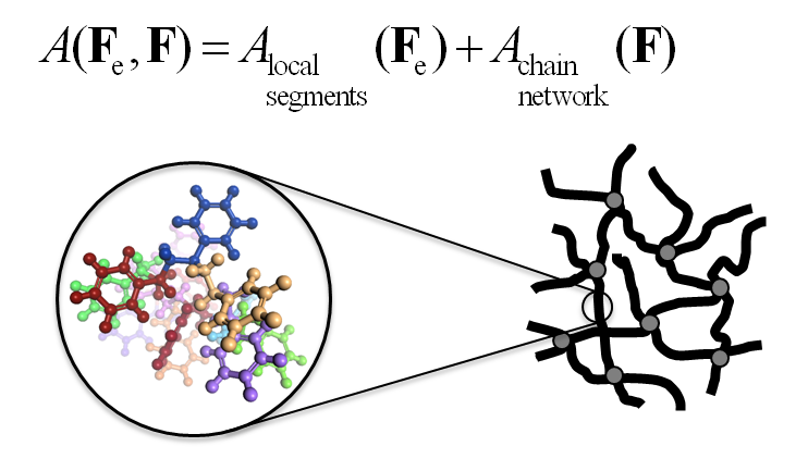 Illustration of the contributions to the free energy of a glassy polymeric system: Contributions from the local segmental arrangement and from the large-scale network.