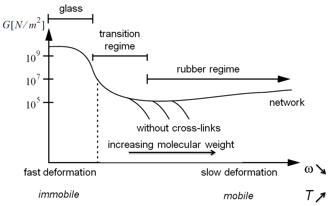 Dependence of the mechanical response on the frequency of the applied deformation and on temperature.