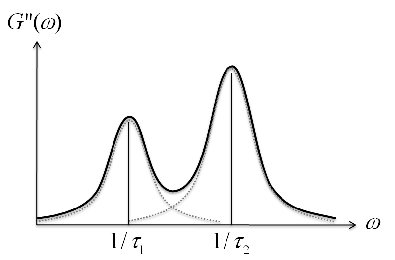 Illustration of the loss modulus G'' for a two-mode Maxwell model with relaxation times \tau_1 and \tau_2.