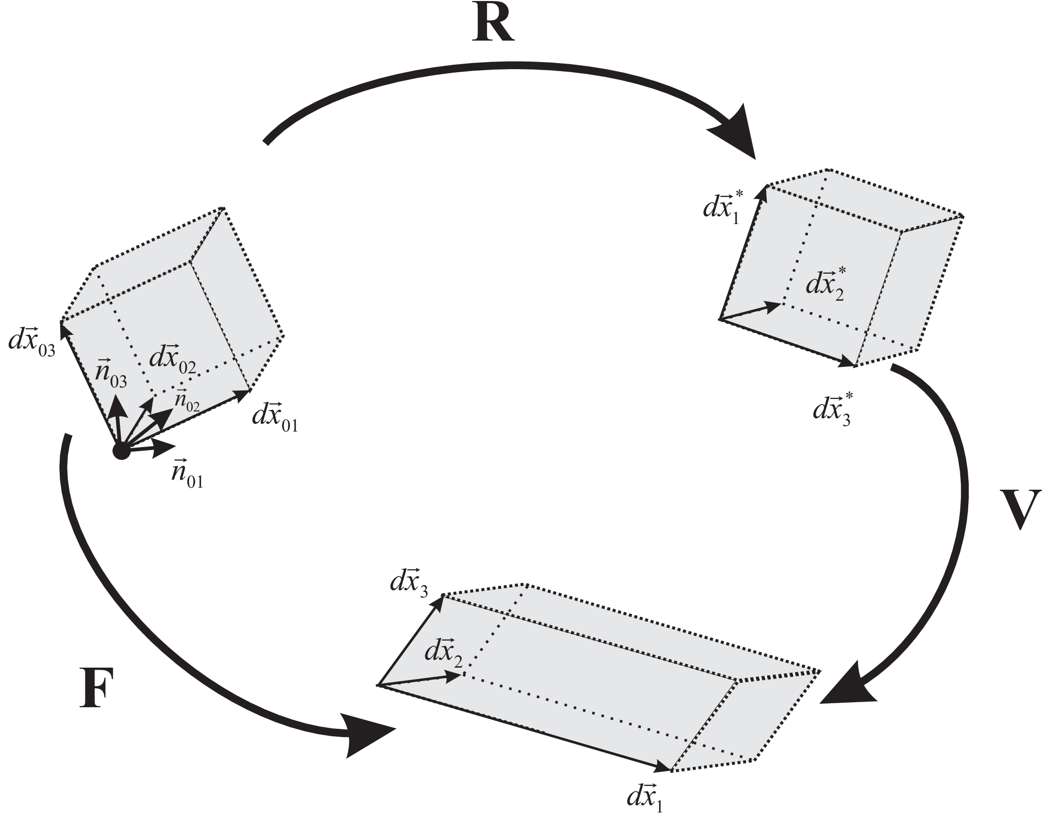 Left polar decomposition of the deformation \T{F}, into a rotation \T{R} and a stretch and shear part, described by \T{V}.