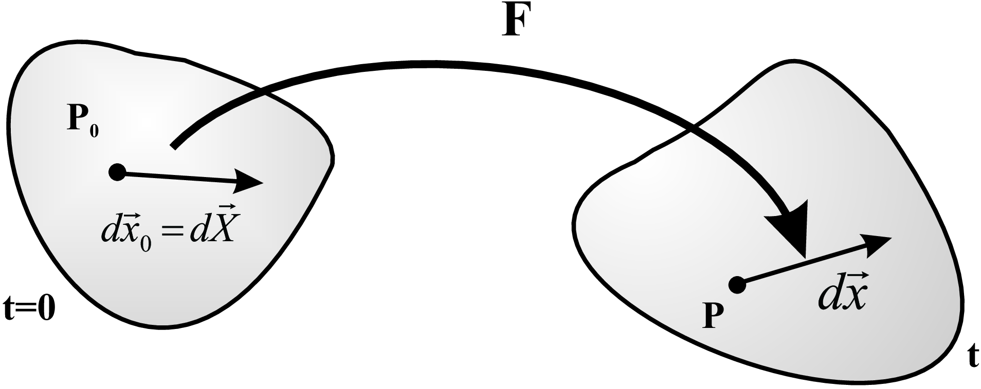 The linearized deformation map - the deformation tensor \T{F}