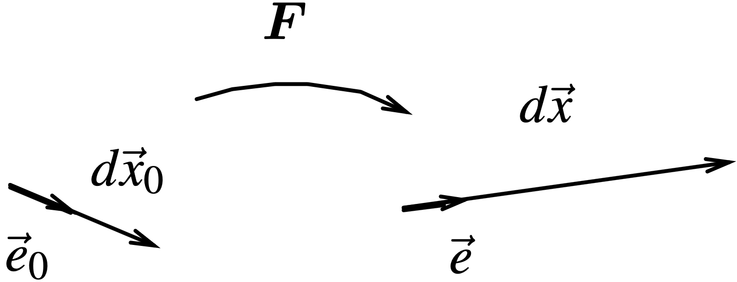 Change of length and orientation of an infinitesimal vector d\V{x}_0.